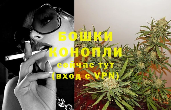 индика Балахна
