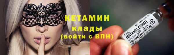 индика Балахна
