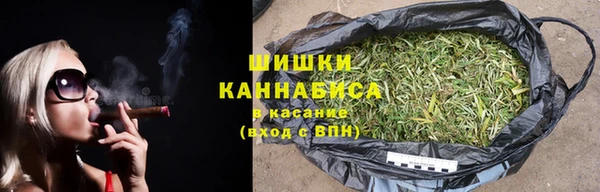 прущие крисы Белокуриха