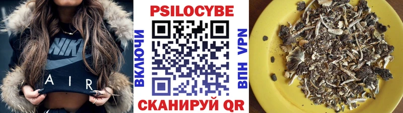 Галлюциногенные грибы Cubensis ОМГ ОМГ ссылка Высоцк купить закладку